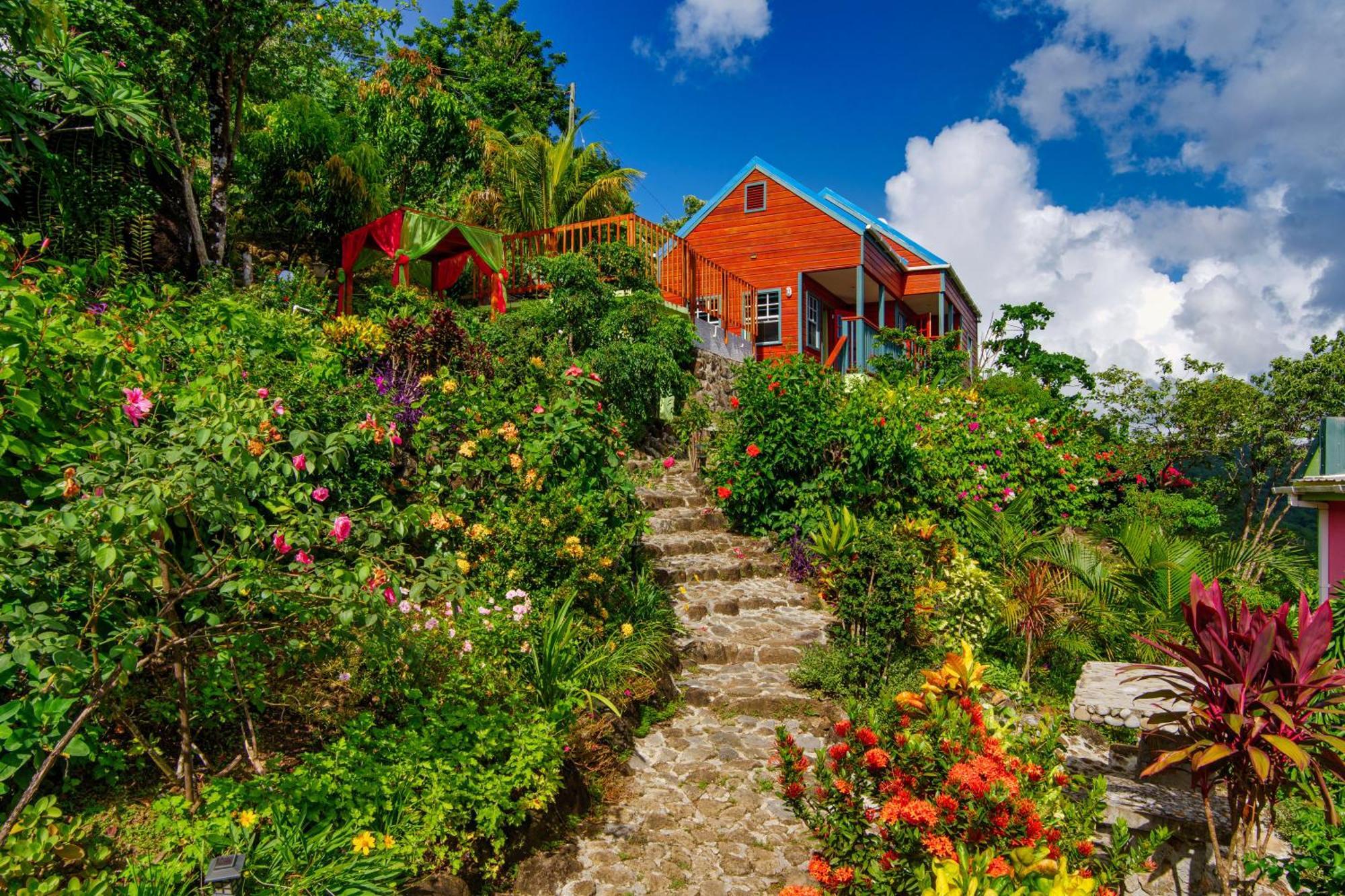 Tropical Paradise View Anse La Raye Eksteriør bilde